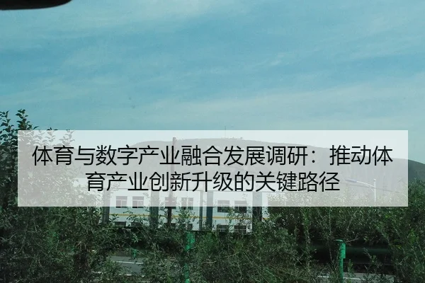 体育与数字产业融合发展调研：推动体育产业创新升级的关键路径
